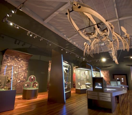 Visitor Notice: Manx Museum Opening 11am on Tuesday 31 July 2018