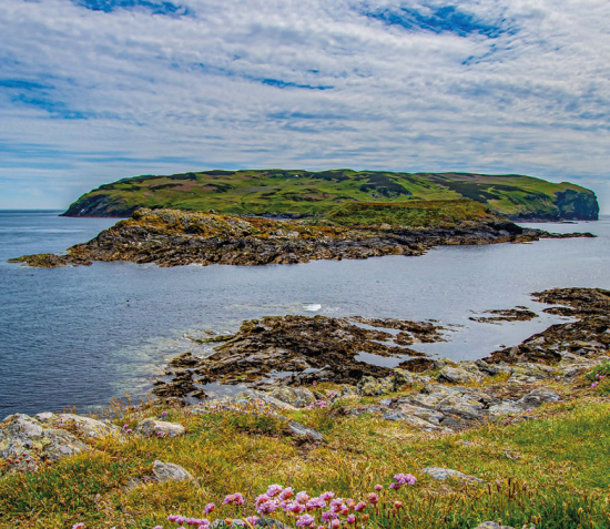 Calf of Man Bird Observatory