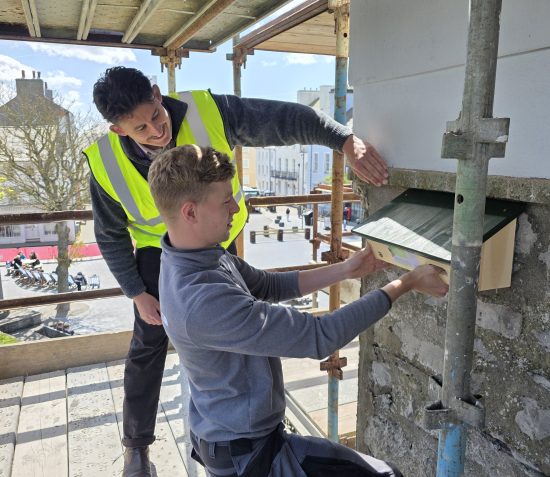 One Market Square Welcomes New Residents as Swift Nest Boxes Installed