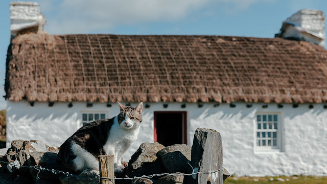 Conservation in Action: Stone and Scraa at Cregneash