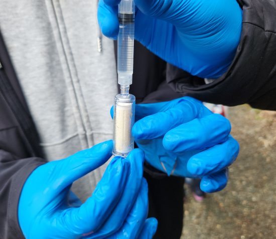 Students to use DNA to find hidden Manx wildlife